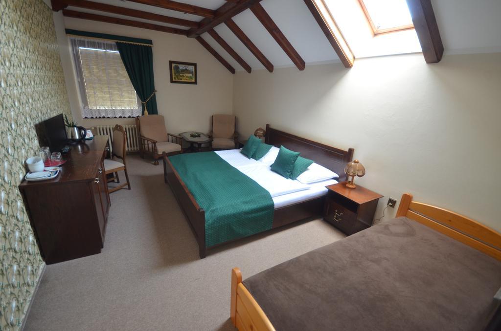 Villa Zerotin Penzion Bed & Breakfast Velké Losiny Екстериор снимка