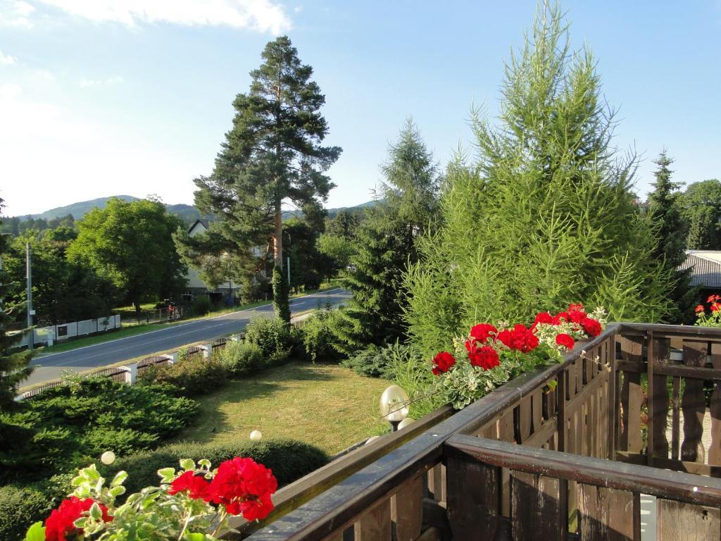 Villa Zerotin Penzion Bed & Breakfast Velké Losiny Екстериор снимка